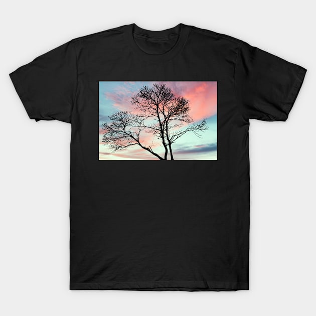 Beautiful tree with a craw at sunset T-Shirt by msro1